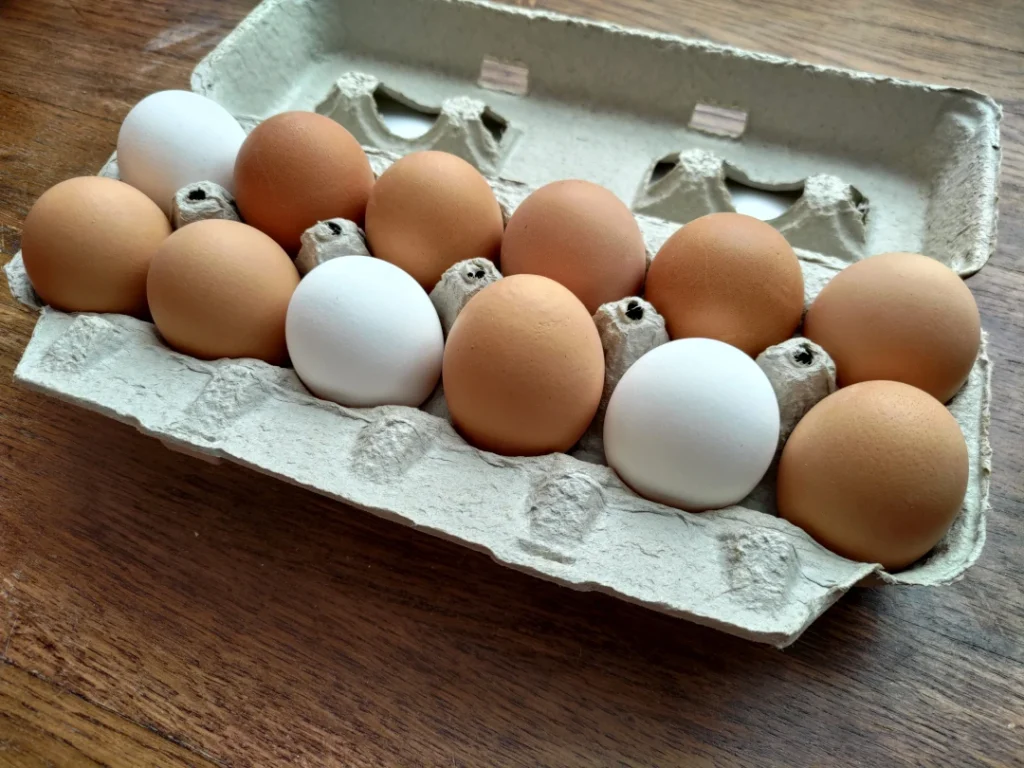 Large Eggs from Smrt Frms