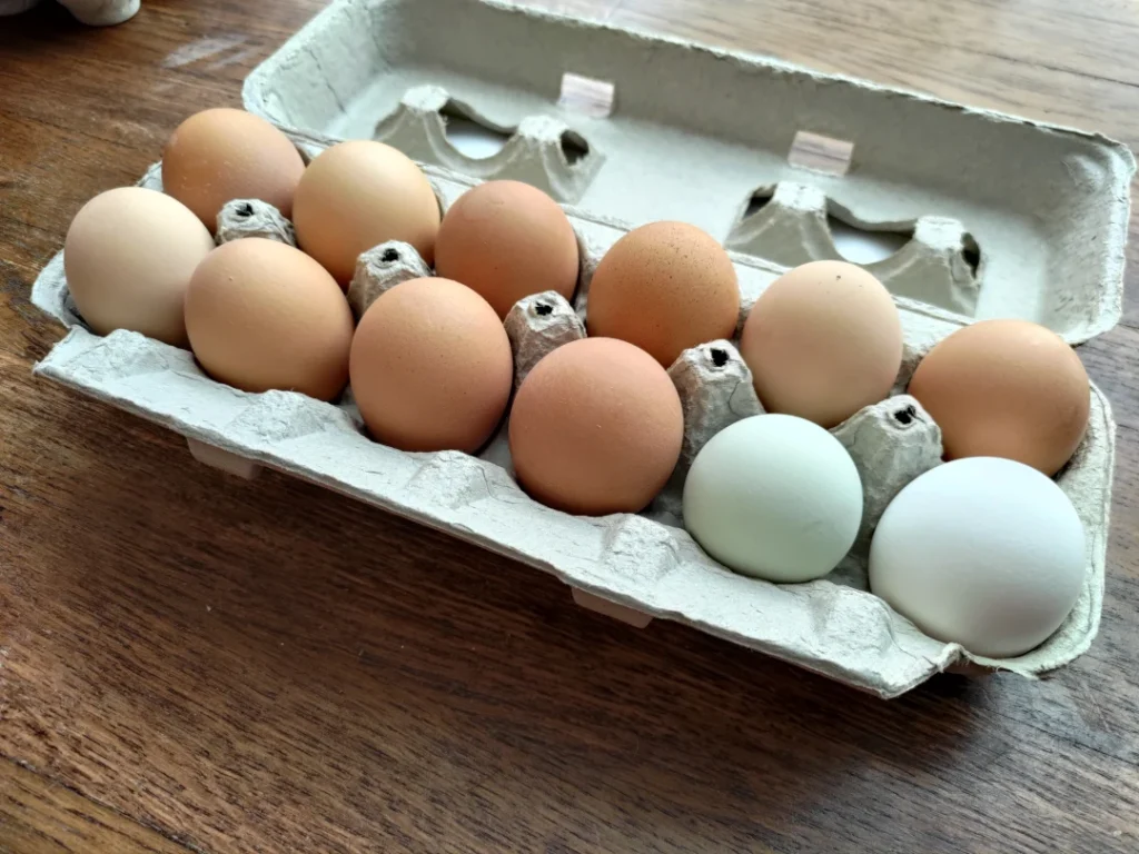 Medium/Small Eggs from Smrt Frms