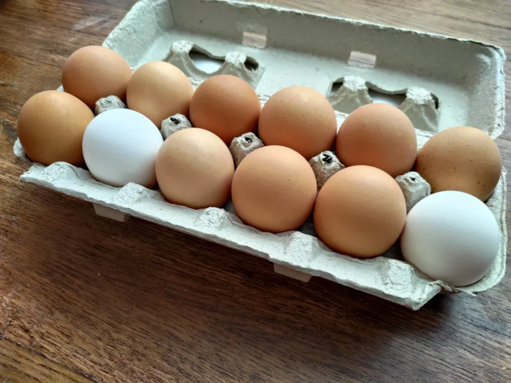 XL Eggs from Smrt Frms